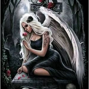 Meet your Posher, Faye